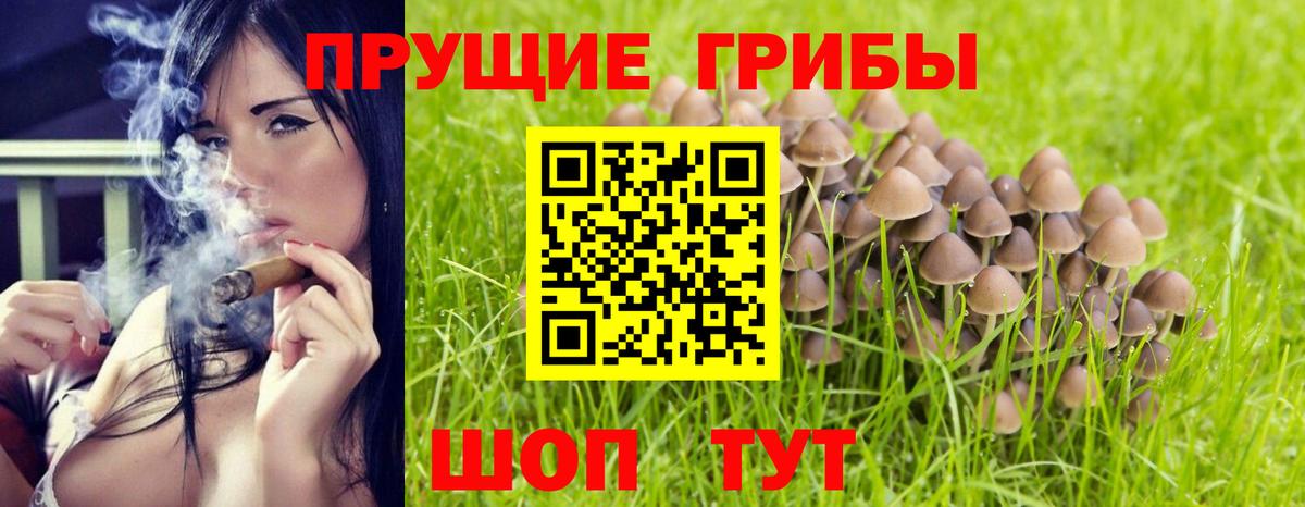 Псилоцибиновые грибы прущие грибы Рузаевка